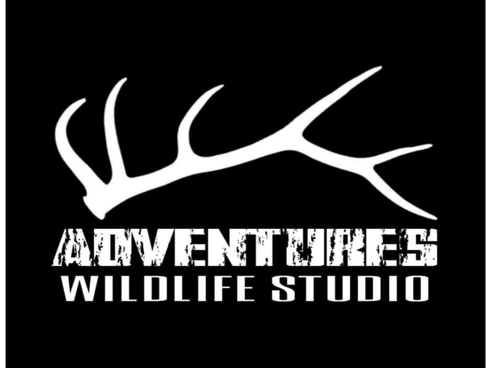 Adventures Wildlife Studio